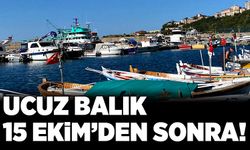 Ucuz balık  15 Ekim’den sonra!