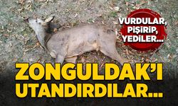 Zonguldak’ın utandırdılar… Vurdular, pişirip yediler…