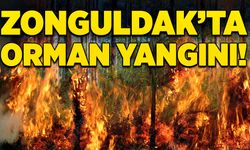 Zonguldak’ta orman yangını! Korkulu anlar yaşattı!