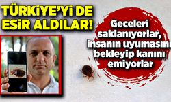 O tehlike Türkiye’ye de sıçradı! İnsanların kanını emiyor!