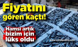 Zonguldak'ta balık fiyatları vatandaşı üzdü