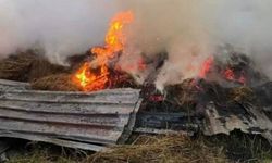 Kozlu'da samanlıkta çıkan yangın korkuttu
