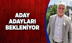 Aday adayları bekleniyor