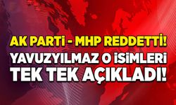 AK Parti-MHP reddetti! Deniz Yavuzyılmaz o isimleri tek tek açıkladı!