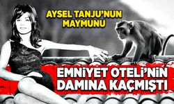 Aysel Tanju’nun maymunu  Emniyet Oteli’nin damına kaçmıştı