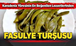 Fasulye turşusu