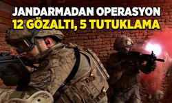 Jandarmadan operasyon! 12 gözaltı, 5 tutuklama