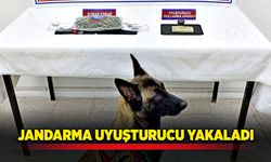 Jandarmadan uyuşturucu operasyonu