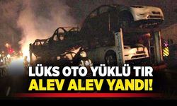 Lüks oto yüklü tır, alev alev yandı!