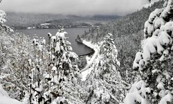 Kartpostallardan Fırlamış Gibi: Abant Gölü'nde Kar Sevinci