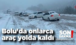 Bolu'da onlarca araç yolda kaldı