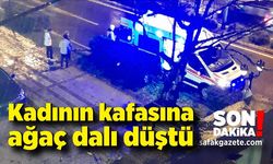 Kafasına ağaç dalı düşen kadın yaralandı