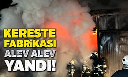 Kereste fabrikası alev alev yandı!