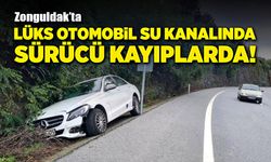 Zonguldak’ta lüks otomobille kaza yapıp, olay yerinden kaçtı!