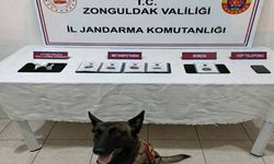 Jandarmanın gece baskını! Zonguldak'ta 8 uyuşturucu taciri tutuklandı!