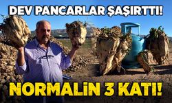 Dev pancarlar şaşırttı! Normalin 3 katı!