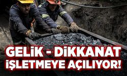 Gelik Dikkanat-A Taşkömürü Sahası 15 yıl süre ile işletmeye açılıyor