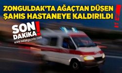 Zonguldak’ta ağaçtan düşen şahıs hastaneye kaldırıldı!