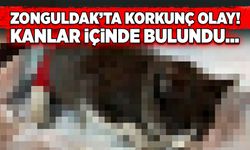 Zonguldak’ta korkunç olay! Kanlar içinde bulundu…