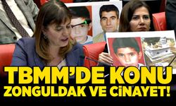 TBMM’de konu Zonguldak ve cinayet!