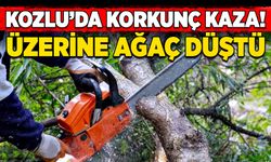 Kozlu’da korkunç kaza! Üzerine ağaç düştü