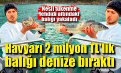 Havyarı 2 milyon TL'lik balığı denize bıraktı