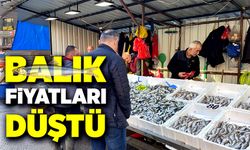 Zonguldak'ta balık fiyatları düştü
