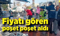 Zonguldak'ta poşetler hamsi doldu