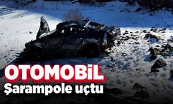 Şarampole uçan otomobilin sürücüsü hayatını kaybetti
