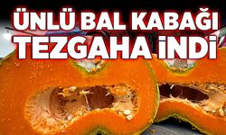 Ünlü bal kabağı tezgaha indi