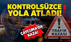 Çaycuma’da kaza! Kontrolsüzce yola atladı!