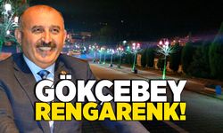 Gökçebey rengarenk!