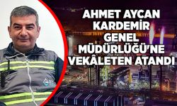Ahmet Aycan, KARDEMİR Genel Müdürlüğü'ne Vekâleten Atandı