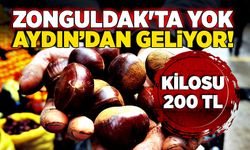 Zonguldak'ta yok Aydın'dan geliyor; Kilosu 200 TL