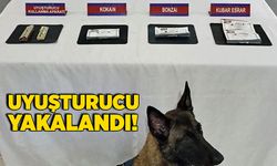 Jandarma 3 kişiyi uyuşturucu ile yakaladı