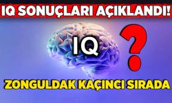 IQ sonuçları açıklandı! Zonguldak kaçıncı sırada