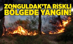 Zonguldak’ta riskli bölgede yangın