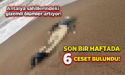 Antalya sahillerindeki gizemli ölümler artıyor: Son bir haftada 6 ceset bulundu