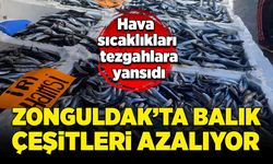 Hava sıcaklıkları tezgahlara yansıdı: Zonguldak'ta balık çeşitleri azalıyor