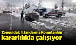 Zonguldak İl Jandarma Komutanlığı kararlılıkla çalışıyor