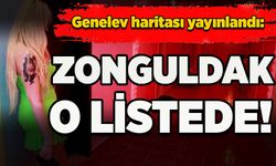 Genelev haritası yayınlandı: Zonguldak da o listede!