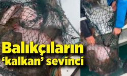 Zonguldaklı balıkçıların 'kalkan' sevinci