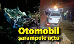 Otomobil şarampole uçtu