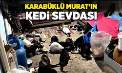 Murat’ın kedi sevdası