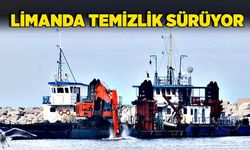 Zonguldak limanında temizlik sürüyor