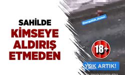 Sahilde kimseye aldırış etmeden