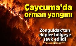 Çaycuma'da orman yangını! Zonguldak'tan da ekipler bölgeye sevk edildi