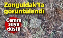 Zonguldaklı vatandaş Cemre'nin düşüşünü görüntüledi