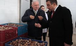 Zonguldak Valisi Gökçebey’deki sanayi kuruluşlarını ziyaret etti
