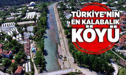 Türkiye’nin en kalabalık köyü
